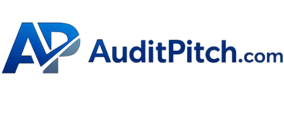 Client Website Audit and Pitch